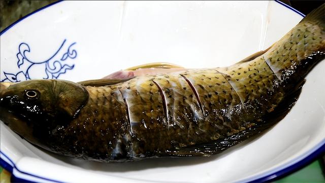 清蒸鱼切记不要放盐和料酒，教你正确做法，鱼肉鲜嫩，不腥不柴