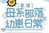 《走出遗弃大陆》《母系部落幼崽日常》图片