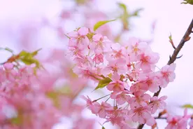 最不会哄老婆的生肖男，脾气暴躁，很容易冷战图片