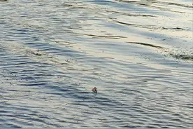 广州男子珠江钓鱼，忽然发现江面有只手掌，网友：还不赶紧报警？图片