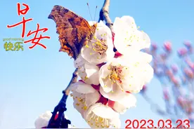 【战友美文】于天松：《香椿》（诗）图片