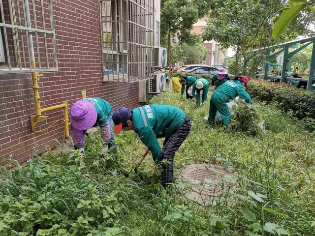 东湖新技术开发区豹澥街分类专班黄金堂社区开展清洁家园活动