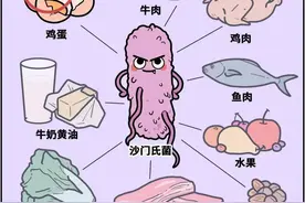 致百名儿童感染的沙门氏菌，你了解多少？图片