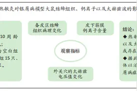 热敏灸银屑病模型大鼠外关穴的生物学变化图片