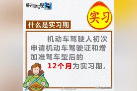 驾驶证实习期相关问题图片