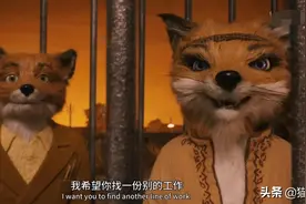 9.8分，12年前的电影《了不起的狐狸爸爸》我今天才看懂图片