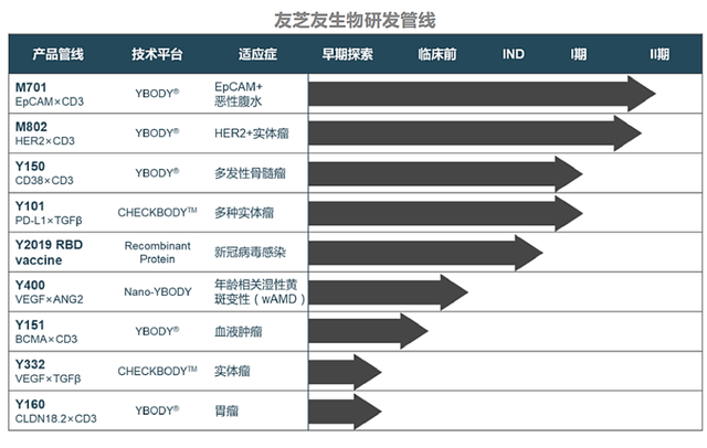 1+1＞2，双特异性抗体的最新研究进展