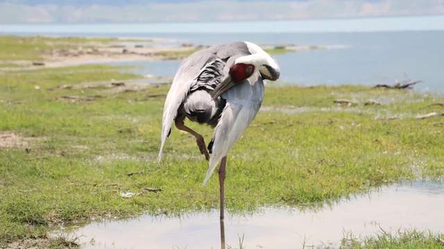 四川省民生研究会新媒体中心-官网