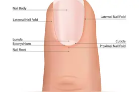 指甲若长成4种样子，可能是癌或疾病的信号，不要再忽视图片