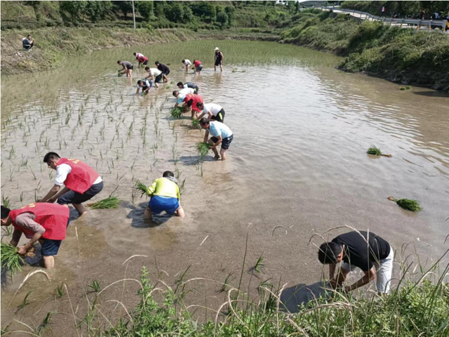 四川省民生研究会新媒体中心-官网
