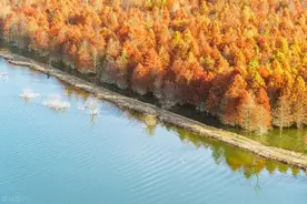 保护森林 人人有责图片
