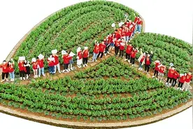 一场为爱减负的实验 浙江唯一全国婚俗改革实验区观察图片