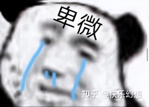 2022年飞机杯大盘点，前十排名飞机杯评测
