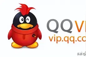 QQ推出永久VIP会员，价格曝光图片