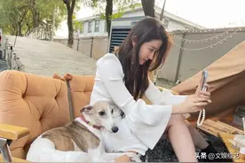 刘亦菲晒露营美照，网友：好久不见，这大长腿太迷人图片