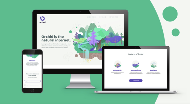 ȫ��ʮ��רҵ��վ���蹫˾