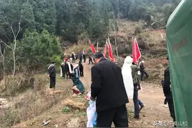 叶落归根图片