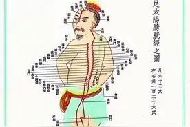 穴位养生-足太阳膀胱经图片
