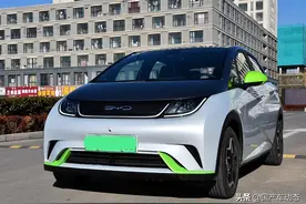 比亚迪海豚真实口碑数据出炉，车主：不能忍受内饰异味大图片