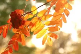 今天是农历七月初二，你知道是什么日子吗？老祖宗的谚语怎么说图片