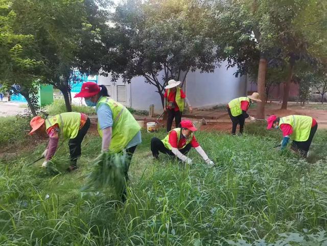 东湖新技术开辟区豹澥街分类专班黄金堂社区开展清洁家园活动