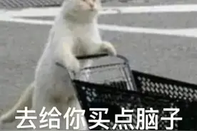 可爱猫咪表情包：去给你买点脑子图片