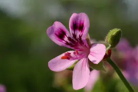 如果你不想上班，也不想与人交往了，需要留下三条退路图片