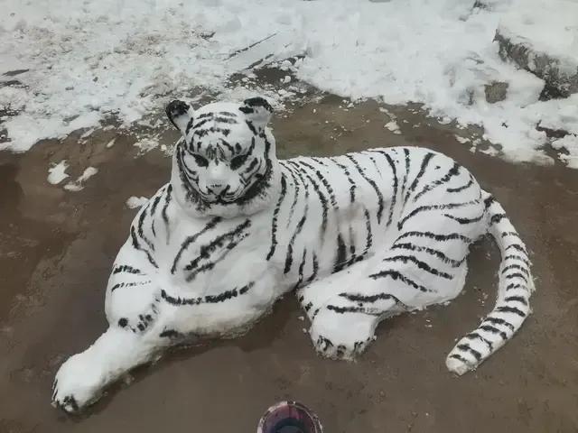 大郑州堆雪人内卷严重，哪个是金奖？全河南的雪人都在这里了