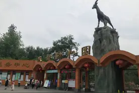 疫情后～成都动物园里的动物怎么样了？在动物园投喂=投毒？图片