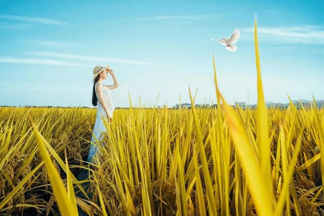 14个小故事，故事很短，道理很深，请告诉孩子