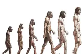 地球上的第一个人是怎么来的？是由古猿进化而来，还是意外出现的图片