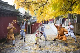 嵩山少林寺：缘何成为世界文化遗产？图片