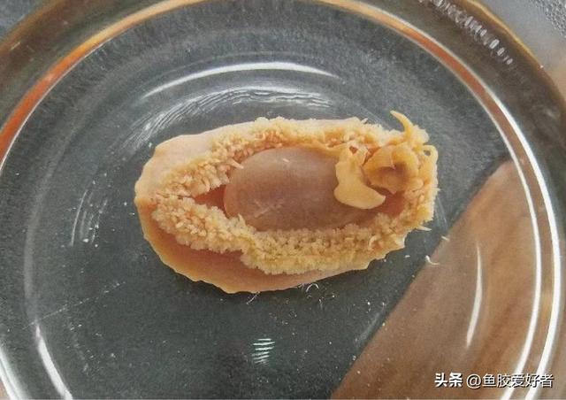 干鲍和花胶哪个级别高 2025年干鲍鱼花胶的家常做法大全