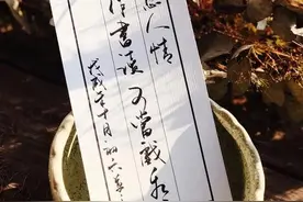 散文：人生过半，学会静而不争，淡然从容图片