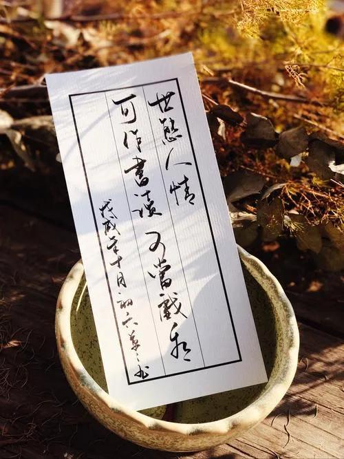 散文：人生过半，学会静而不争，淡然从容