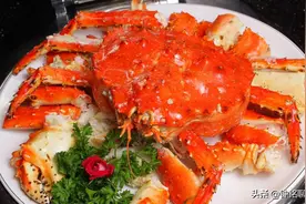 入侵欧洲，席卷南极，泛滥的帝王蟹有多可怕？每吃一只都在做贡献图片