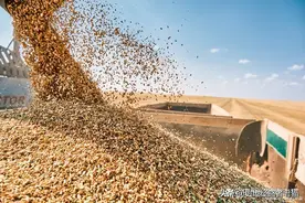 是谁在养活我国14亿人民？盘点我国粮食产量前十的省份图片