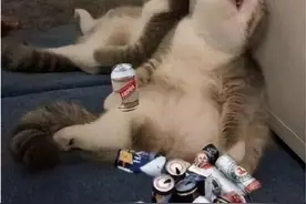 喝酸奶真的解酒吗？华西医生：没用！这个才有效图片