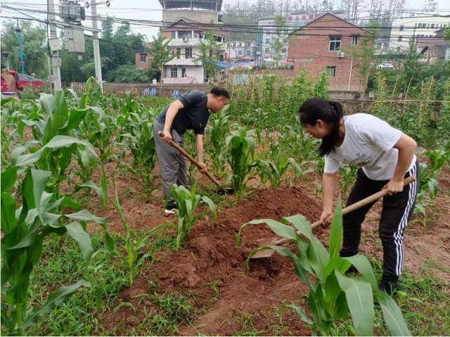 四川省民生研究会新媒体中心-官网
