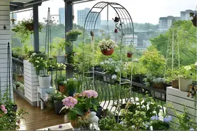 为啥有人偷偷收购“老破小顶楼”？销售说出了大实话，太真实了图片