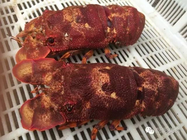 花胶选几级的 花胶等级顺序鱼胶排名大全