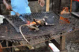 非洲爱吃猴，印度视猴为神，中国猴拦路抢劫，为何猴生如此不同？图片