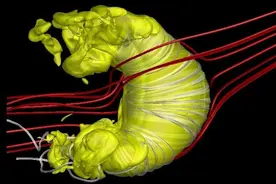 太阳系为何像个“牛角包”图片