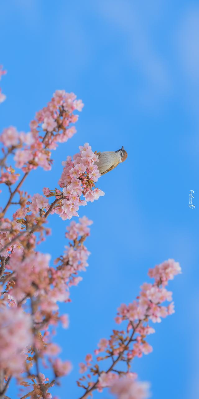 6������Ȧ�İ����ʺ����·�����Ȧ���������İ�˵˵�������