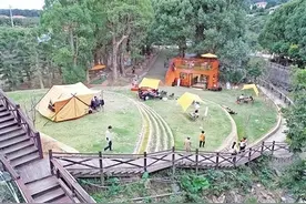 “青”力而为活力显图片