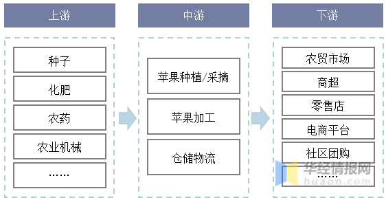 中国苹果行业全景产业链分析、电商消费喜好及发展趋势