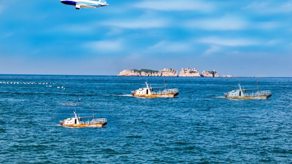 现汇项目和融资项目_融资类保函 非融资类保函 融资保函业务