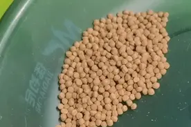 教你一招：和商品饵一样上鱼的自制饵，常年用真省钱图片