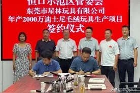 年产2000万只迪士尼毛绒玩具生产项目落地恒口图片