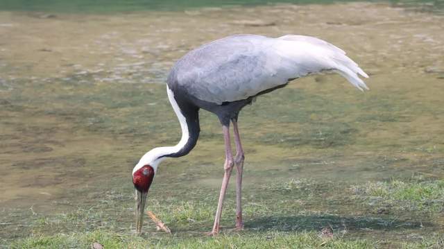 四川省民生研究会新媒体中心-官网